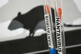 dinkes-dki-pantau-sebaran-hantavirus-di-jakarta-sepanjang-2026